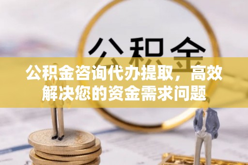 宝丰公积金咨询代办提取，高效解决您的资金需求问题