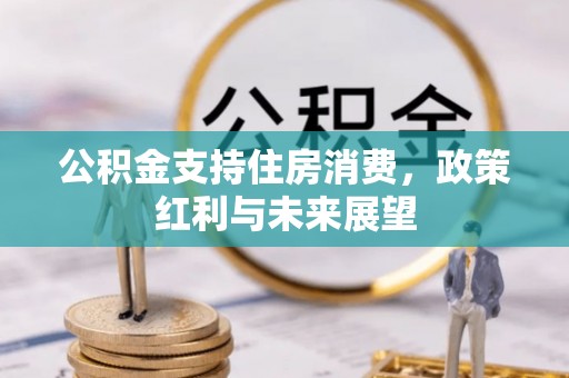 宝丰公积金支持住房消费，政策红利与未来展望