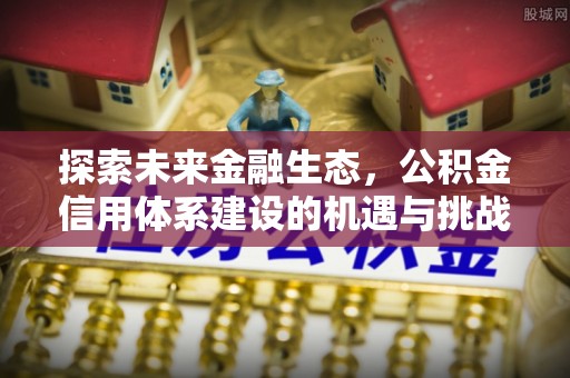 宝丰探索未来金融生态，公积金信用体系建设的机遇与挑战