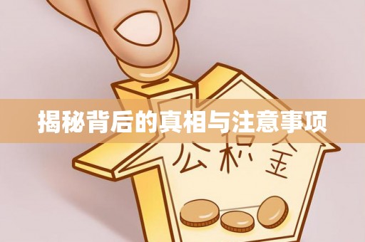宝丰揭秘背后的真相与注意事项