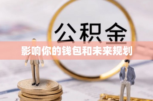 宝丰影响你的钱包和未来规划