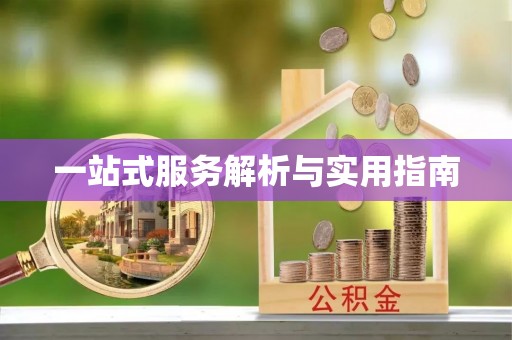 宝丰一站式服务解析与实用指南