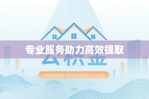 宝丰专业服务助力高效提取