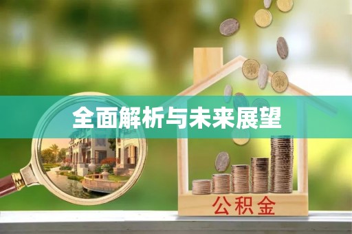 宝丰全面解析与未来展望