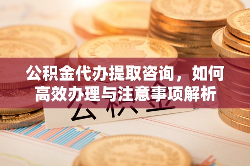 宝丰公积金代办提取咨询，如何高效办理与注意事项解析