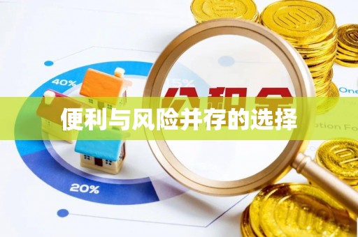 宝丰便利与风险并存的选择