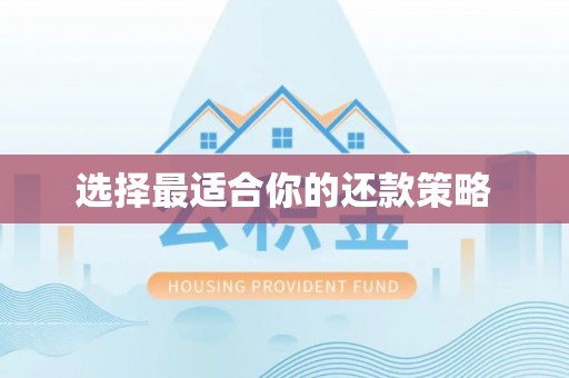 宝丰选择最适合你的还款策略