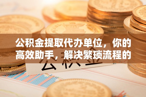 宝丰公积金提取代办单位，你的高效助手，解决繁琐流程的不二之选
