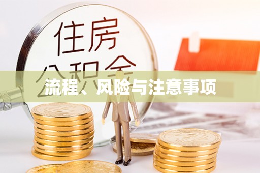 宝丰流程、风险与注意事项