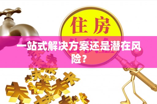 宝丰一站式解决方案还是潜在风险？