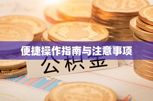 宝丰便捷操作指南与注意事项