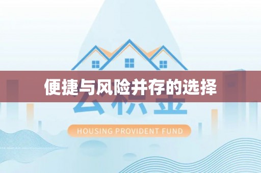 宝丰便捷与风险并存的选择