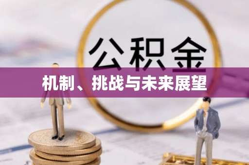 宝丰机制、挑战与未来展望